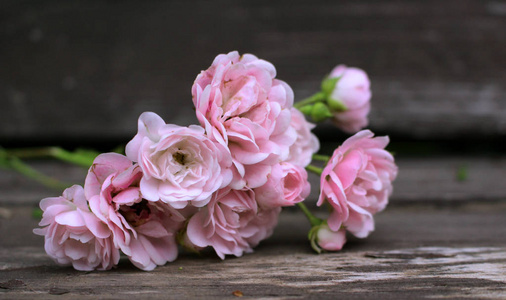 风格的库存照片。春季女性场景, 花卉成分。装饰横幅由美丽的粉红色玫瑰花在一个木桌上。背景模糊。概念春天花