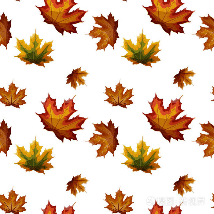 孤立的秋天枫叶在绿色黄色橙色红色棕色颜色无缝图案在白色背景