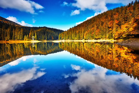 森林湖倒影景观。 秋季森林湖树全景