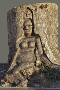 雕刻在树干上的女形雕塑