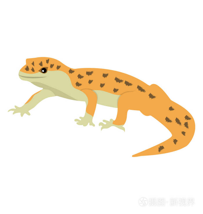 白色背景下蜥蜴的平面图标设计插画-正版商用图片13ppfy-摄图新视界
