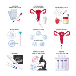 扁平体外受精 Ivf 图标集