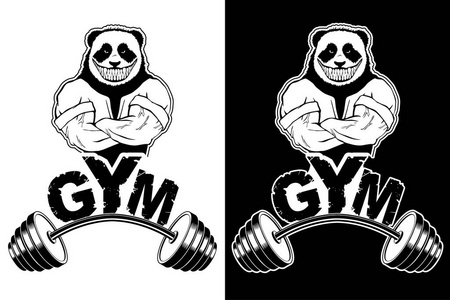 熊猫举重带有强熊猫抽象图像的健身房的矢量设计.照片