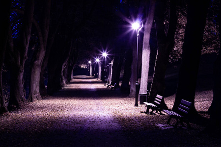夜晚公园与小巷深秋图片