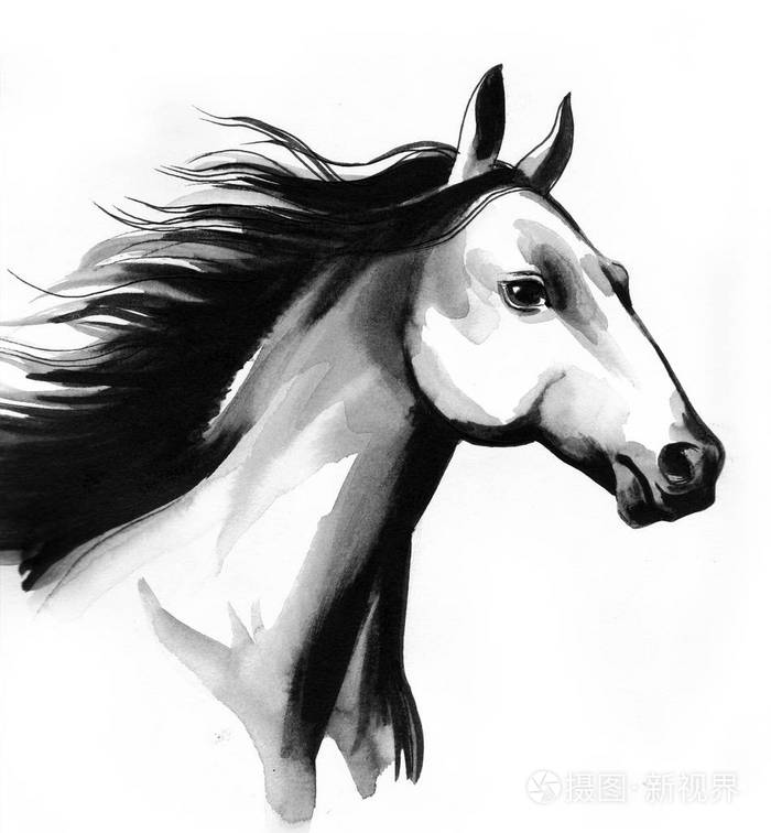 很漂亮的马头水墨和水彩素描