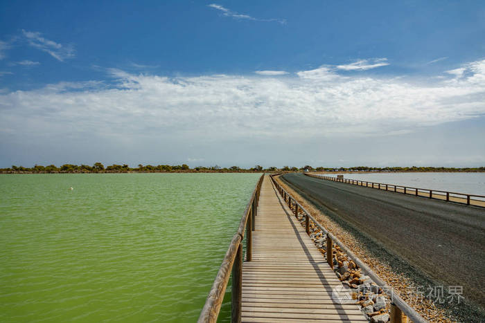 与道路和沼泽平行的木路