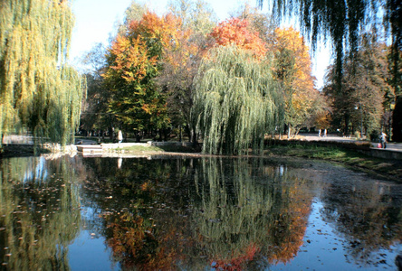 绿柳树在湖上的背景下，红黄秋树在公园里休息。 一种创造性的明亮的秋天形象，可用于创建日历。