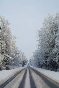 冬天的路。 冬季景观。 阴天。 冬季衰退。 低沉的颜色。 单色景观。 冬季森林。 森林路。