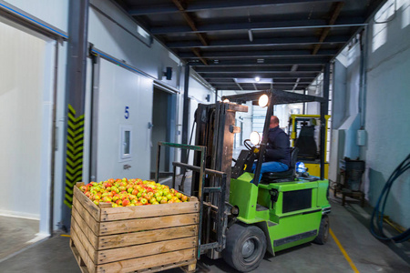 电动叉车上的员工把成熟苹果的容器带到冰箱无空气储存摄像机里。 大型仓库作物分级包装和储存的生产设施。