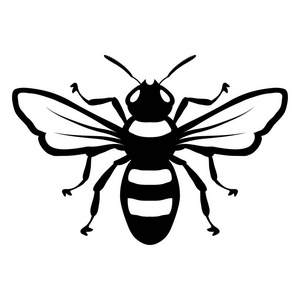 手绘蜜蜂图片-手绘蜜蜂素材-手绘蜜蜂插画-摄图新视界