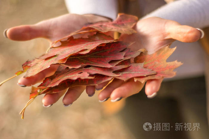 在公园美丽的秋日女人手捧着干落的落叶近距离选择性聚焦