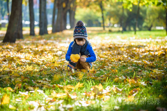 金色的秋天背景,落叶和小蹒跚学步的男孩在秋天的树叶中玩耍.