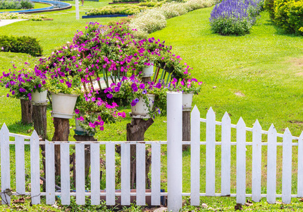 家庭花卉图片-家庭花卉素材-家庭花卉插画-摄图新视界