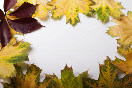 秋天落叶起源于桌子上图片