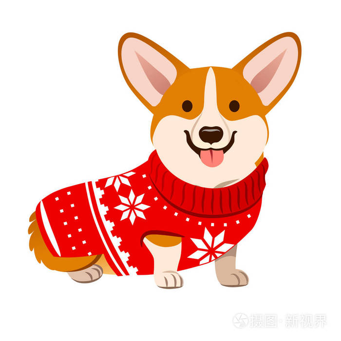 插画 科吉狗穿着圣诞红色毛衣与北欧雪花图案矢量卡通插图隔离在白色.