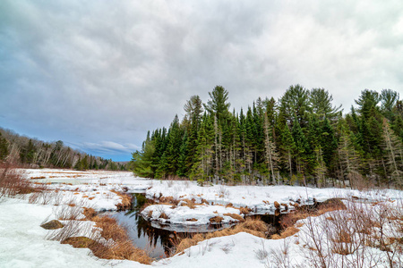 加拿大安大略省的一条河流流经覆盖着雪的景观