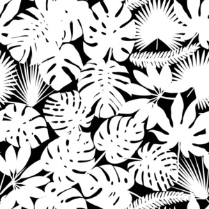 与热带植物的矢量无缝图案. 丛林树叶插图. 黑白的照片