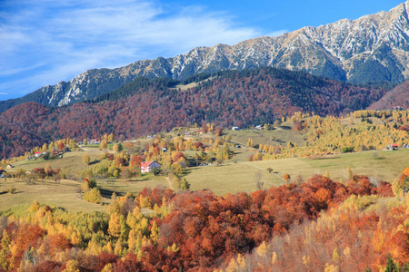 欧洲，罗马尼亚，特兰西瓦尼亚，喀尔巴阡山，马库拉，皮亚特拉，克赖乌瑞国家公园。 秋天的颜色。