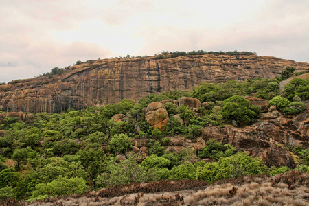 津巴布韦Matopos国家公园岩石上非常特殊的植被