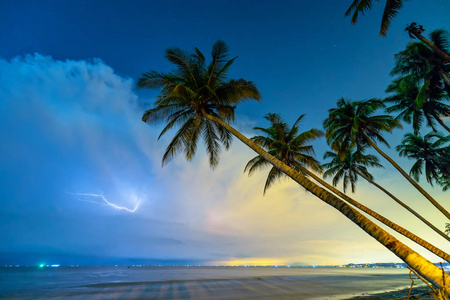椰子树是热带树在一个夏天的夜晚,斜斜的椰子树向热带海滩倾斜,闪电