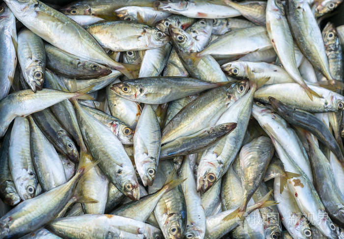 黄尾鱼在鱼类市场交易后新鲜捕获这种鱼种生活在越南