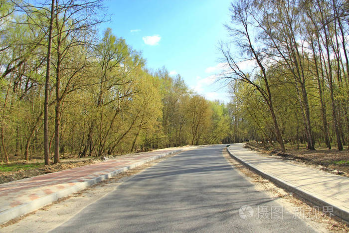 春天公园的沥青路。 木头里的空路。 春天树木之间的城市公园道路