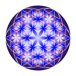 白色背景下蓝色和紫色的生命之花照片