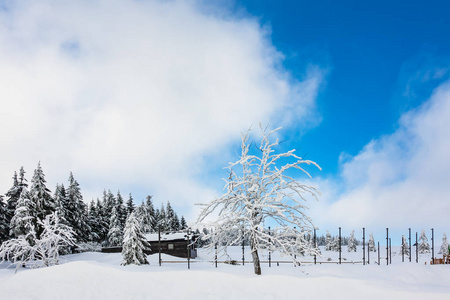 捷克共和国大山上下雪的冬天。