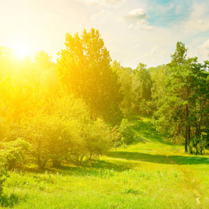 天然太阳的光图片