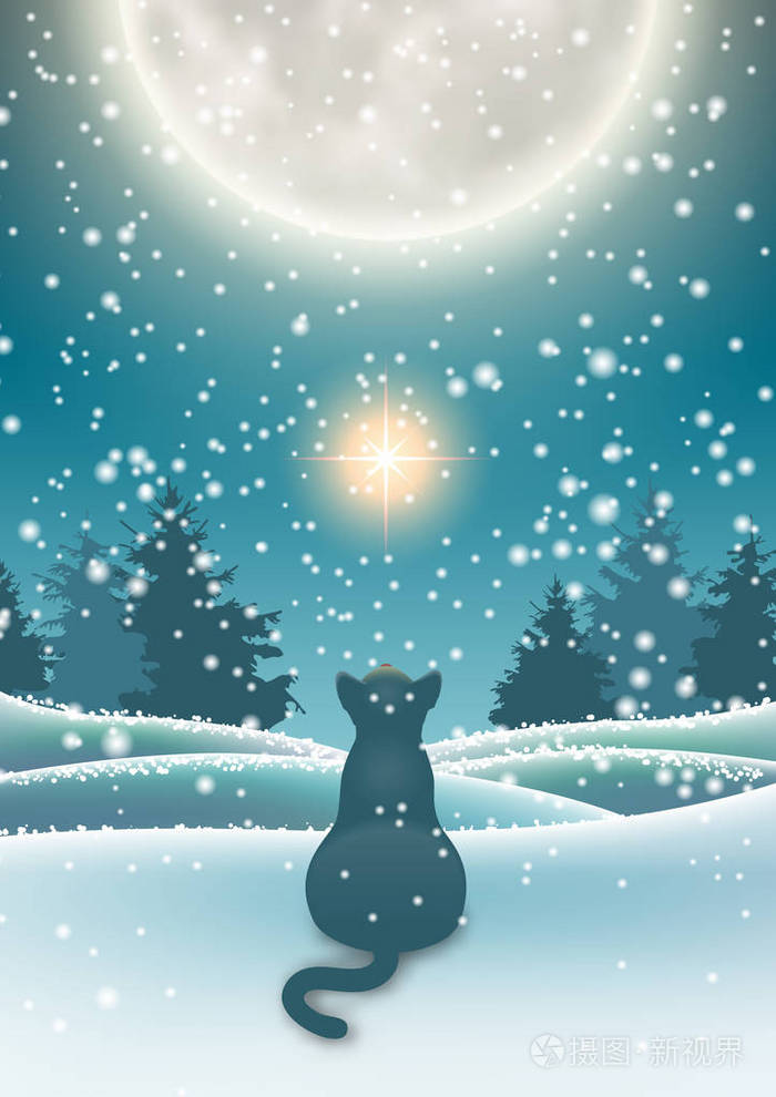 冬天背景猫坐在雪下月亮