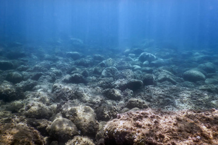 海洋生物水下岩石阳光水下生命。