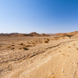 以色列内格夫沙漠的岩石山。 以色列南部岩层的惊人景观。 尘土飞扬的山脉被瓦迪斯和深坑打断。