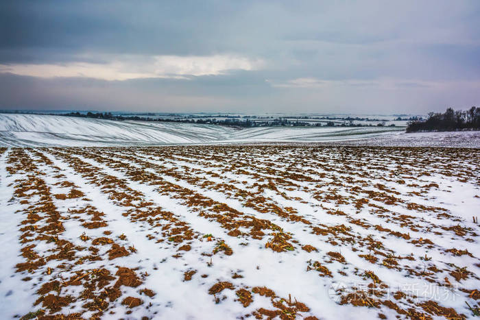 冬季景观农田覆盖着雪