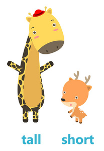 相反的高和短矢量插图相反的英语单词高和短矢量插图白色背景照片