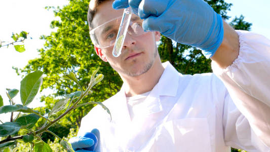 一位年轻英俊的男性生物学家或农艺师在白色外套护目镜蓝色橡胶手套中对水分叶DNA吸管进行分析，穿过苹果树。