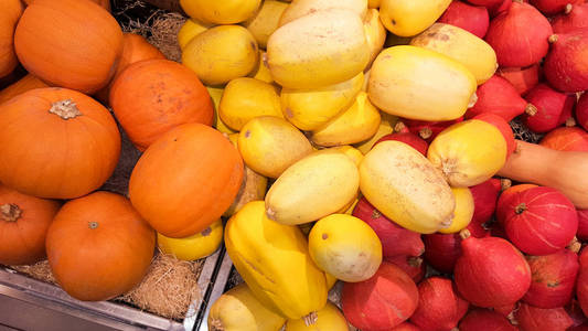各种五颜六色的观赏南瓜葫芦和南瓜在市场上的万圣节假期
