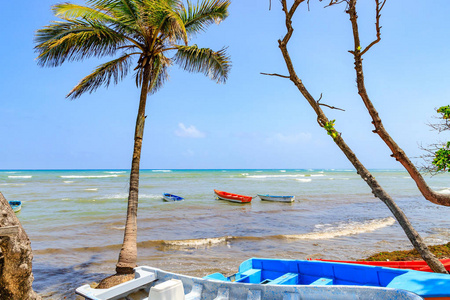 海滩上有棕榈树的渔船。 多米尼加共和国