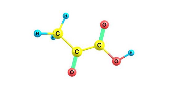 糖磷酸骨干图片