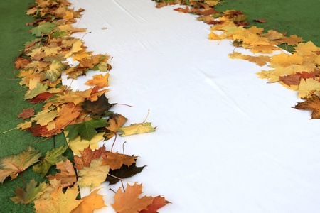 白色的秋道，两边有叶子