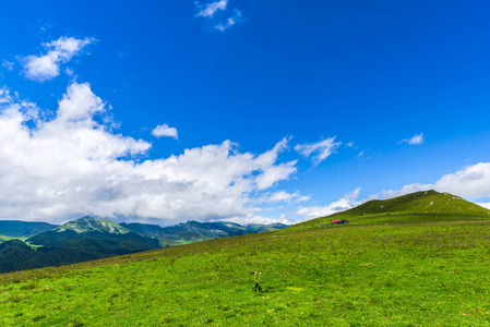 山体景墙图片大全