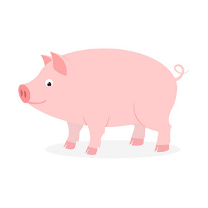 粉红色的猪，尾巴卷曲。 白色背景下分离的矢量插图