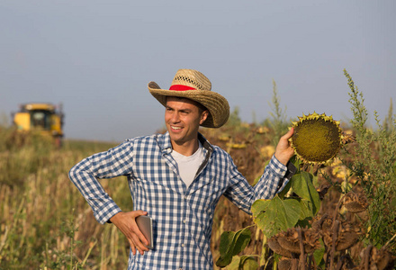 戴草帽持片用联合收割机实地检查葵花籽品质的英俊农民