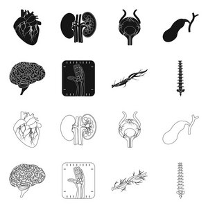 人体和人体图标的矢量图示。收集身体和医学矢量图标的股票