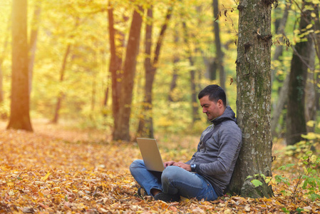 有笔记本电脑的人，森林，秋色，夕阳，温暖的光