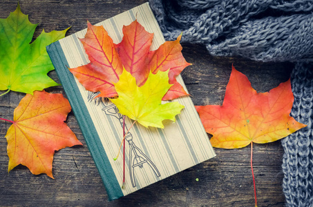 旧书针织毛衣与秋叶. 秋天舒适的背景. 上面的风景.照片