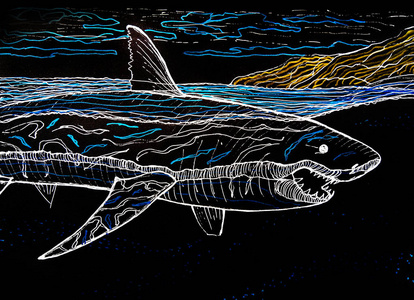 巨齿鲨白鲨在黑色背景下用白笔画画照片