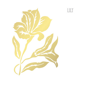 装饰花卉设计元素。 可用于卡片邀请横幅海报印刷设计。 金色花朵