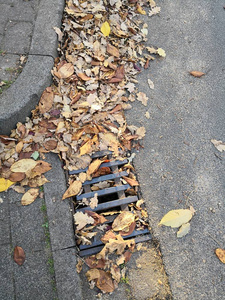街道上满是秋叶堵塞的井盖图片