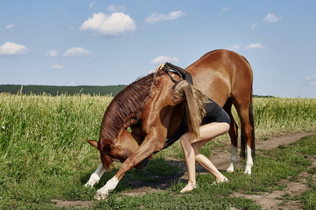 女骑手站在田里的马旁边。 一个女人和母马的时尚肖像是草地上村庄里的马。 金发女人牵着马被缰绳美丽的身体