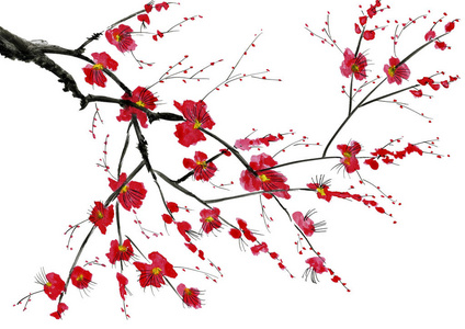 一棵开花的树的树枝。粉红色和红色的风格花梅，野生杏和樱花。水彩和水墨插图在风格苏米e，u辛..东方传统绘画。